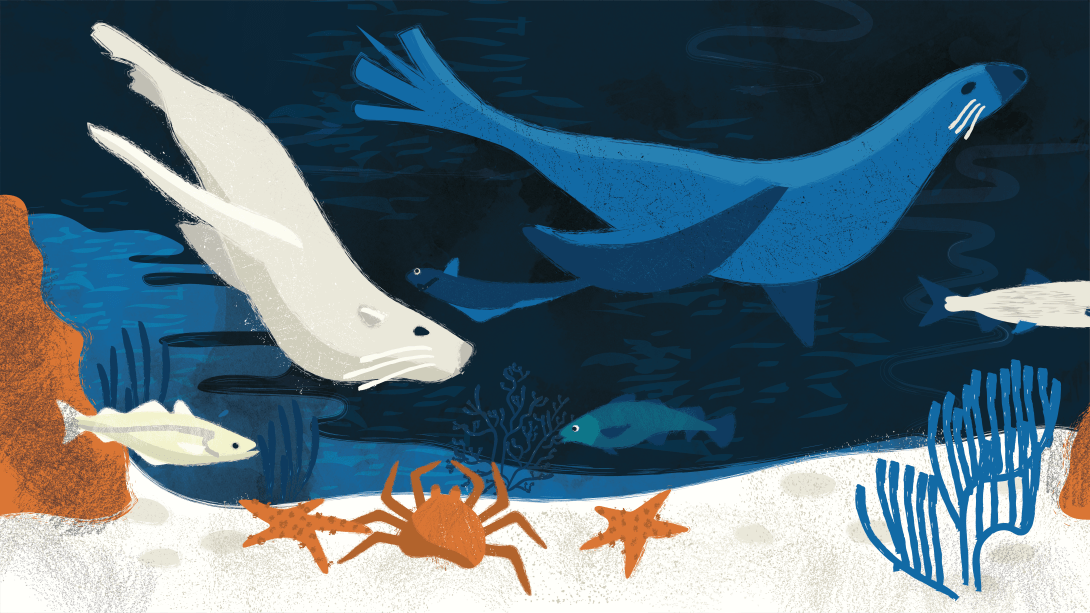 BeringSea_storyboard_v4-06