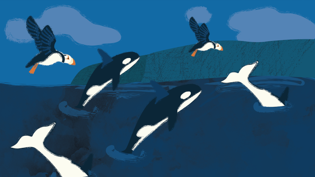 BeringSea_storyboard_v4-11